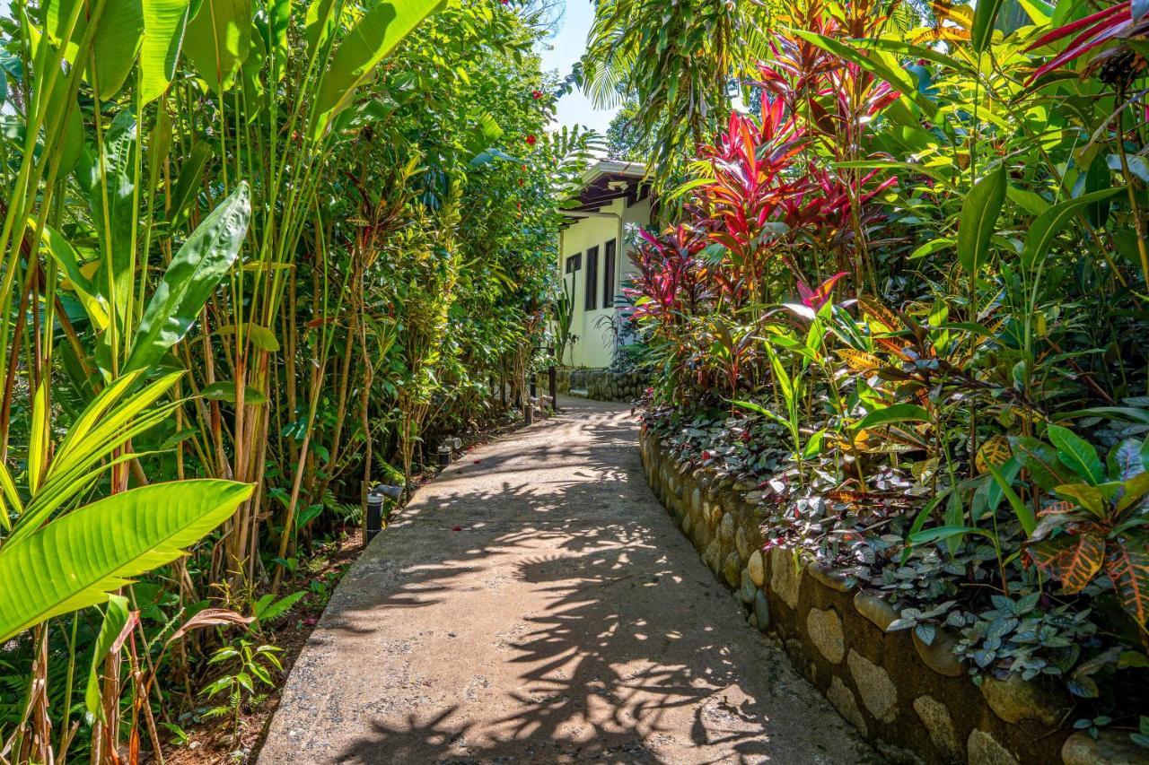 Villas En El Bosque Охочал Екстериор снимка