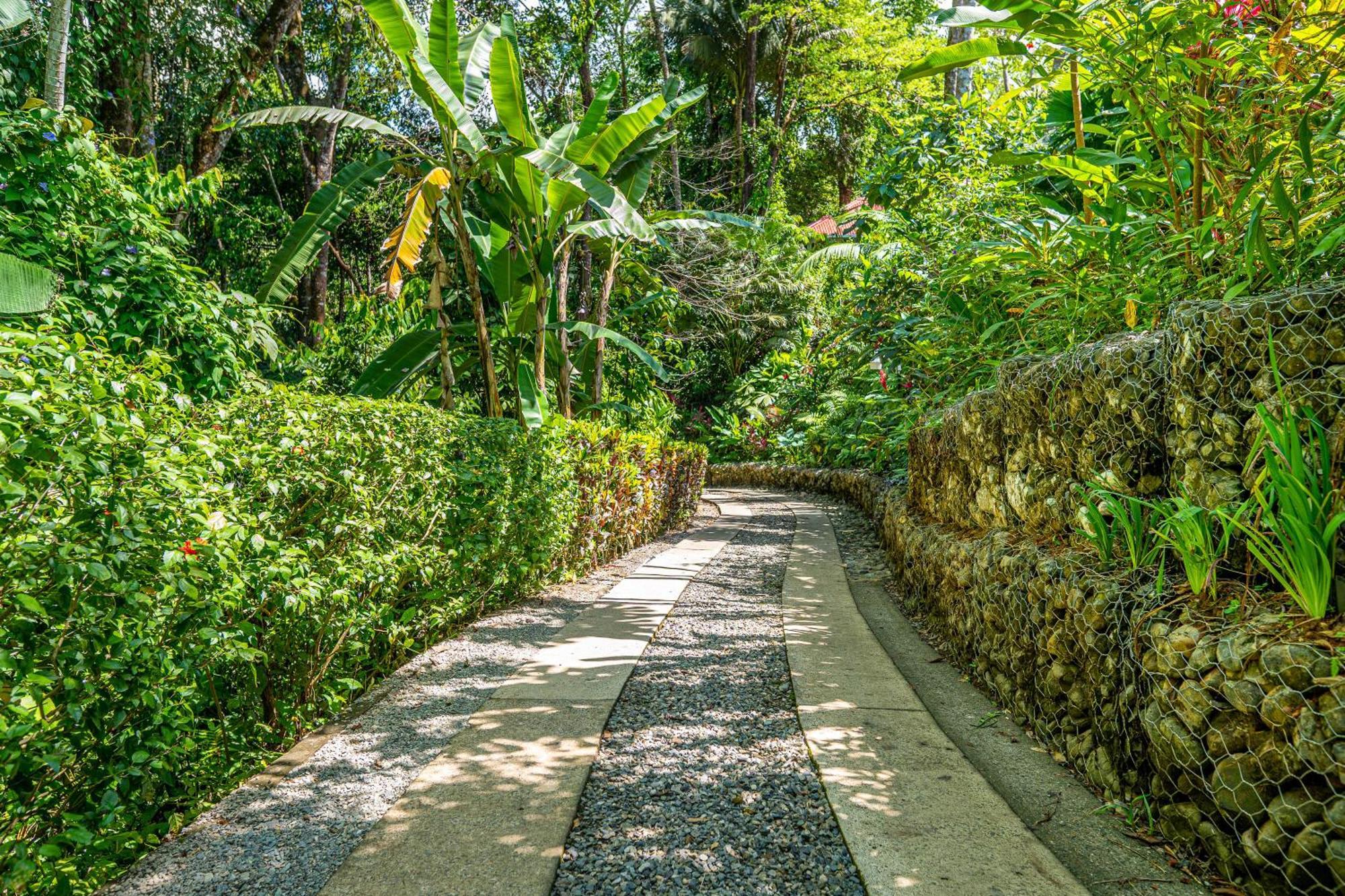 Villas En El Bosque Охочал Екстериор снимка