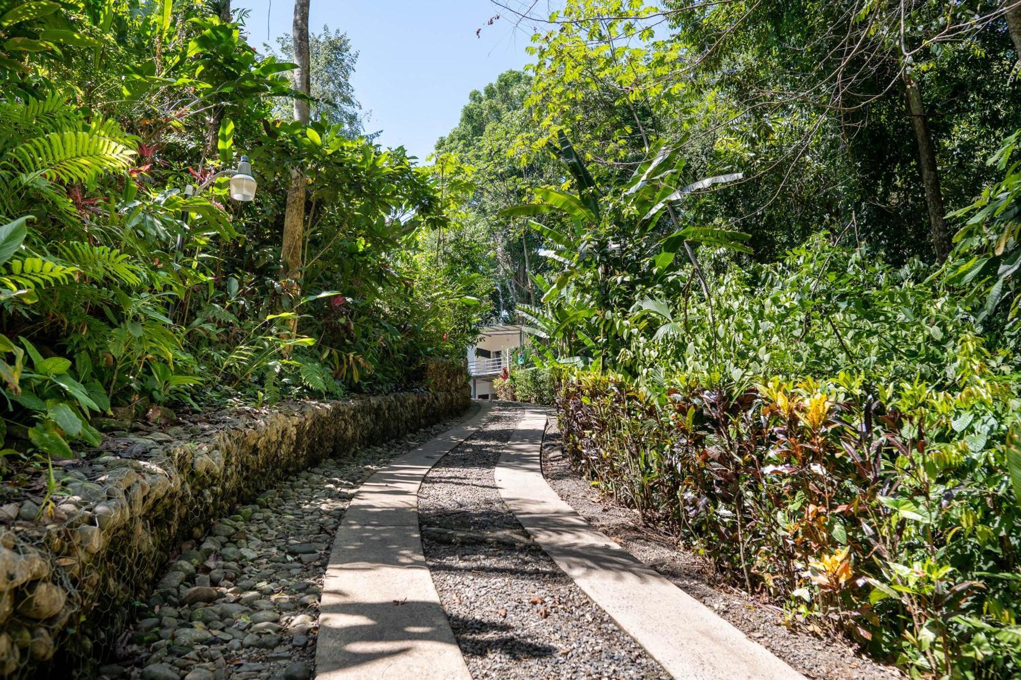 Villas En El Bosque Охочал Екстериор снимка