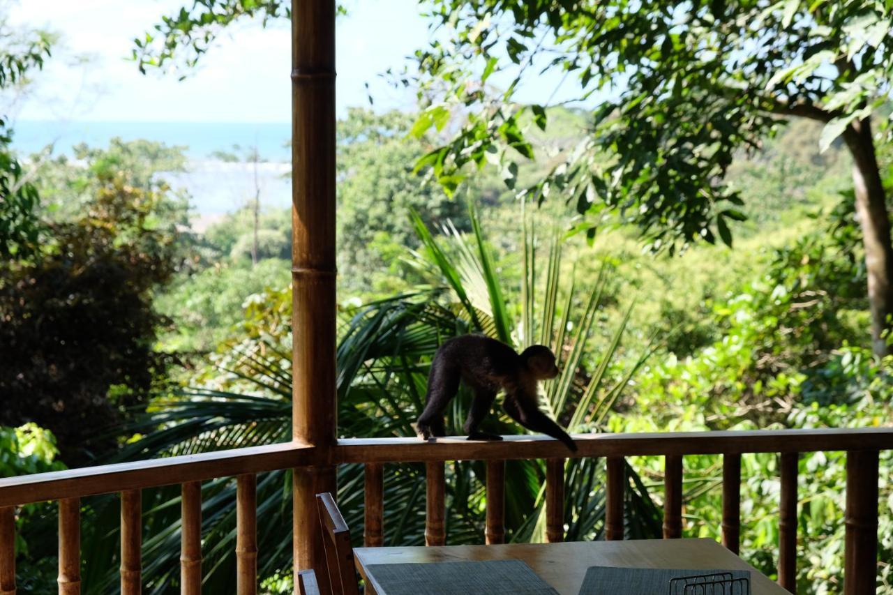 Villas En El Bosque Охочал Екстериор снимка