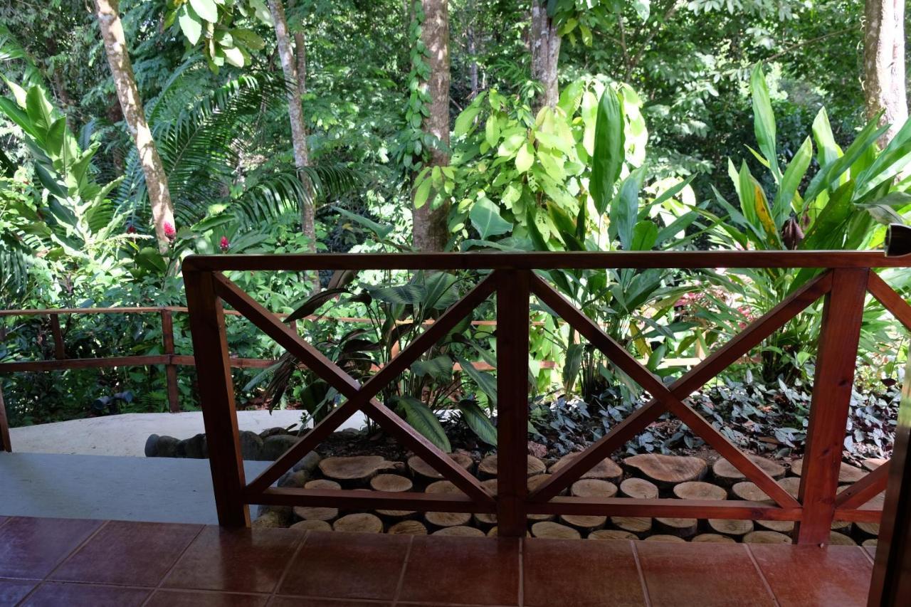 Villas En El Bosque Охочал Екстериор снимка